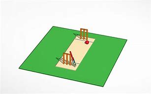 Image result for Cricket Pitch 3D