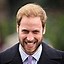 Image result for Prince William Beard