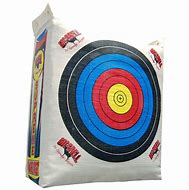 Image result for Bow Arrow Archery Target