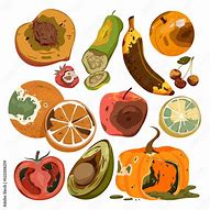 Image result for Rotten Food Cartoon