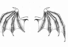 Image result for Black Bat Wings