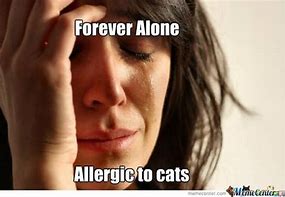 Image result for Lonely Cat Lady Meme