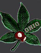 Image result for I Love Ohio State Buckeyes