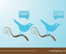Image result for Twitter White Bird Icon