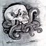 Image result for Octopus Drawing Detailed