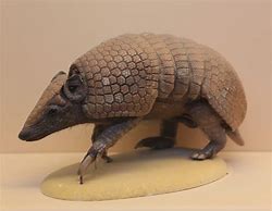 Image result for Armadillo Armor