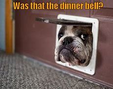 Image result for Dinner Bell Meme