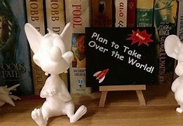 Image result for Pinky and the Brain Plan Blueprints