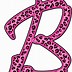 Image result for Pink Zebra Print Letters A-Z