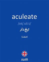 Image result for aculatad