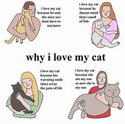 Image result for Caturday Morning Cat Memes