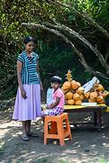 Image result for Sri Lanka People