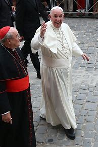 Image result for The Pope in Different Outfits