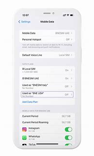 Image result for Install Esim iPhone