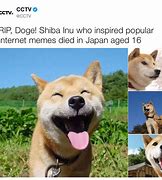 Image result for When One Dies It's Over Meme