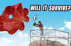 Image result for How to Protect Your Watermelon Farm Meme