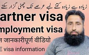 Image result for Employment Visa Status
