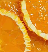 Image result for Orange Fruit Abstract Background
