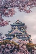 Image result for Osaka Castle Aerial View