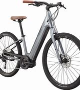Image result for Cannondale Adventure Neo 4
