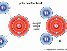 Image result for Covalent Compounds Characteristics Properties