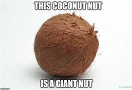 Image result for Big Nut Meme