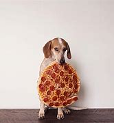 Image result for Pizza in Bed Meme