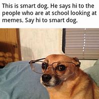 Image result for Smart Dog Meme Template