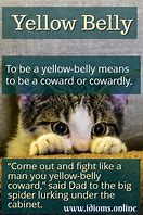 Image result for Yellow Belly Meme