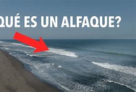Image result for slfaque