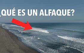 Image result for wlfaque