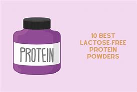 Image result for Dairy Free Protein Powder