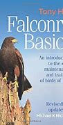 Image result for Martin Jones Falconry