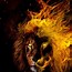 Image result for Fire Lion Wallpapers for Desktop