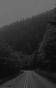 Image result for Black and White Nature Photos iPhone 11