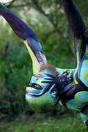 Image result for Fish Body Painting