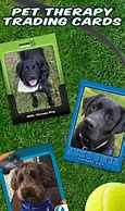 Image result for Dog Food Sports Trading Cards