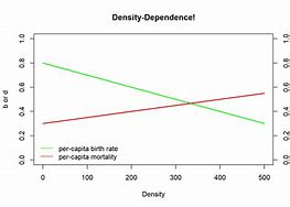 Image result for Graph of Density Independent