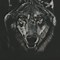 Image result for High Contrast Black and White Painting Wolves