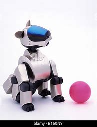 Image result for Aibo Ers