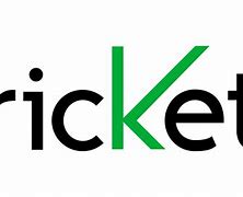 Image result for Phone Plug Cricket