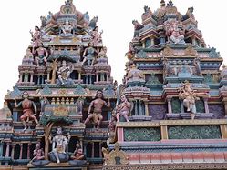 Image result for Pioneer Meaning in Tamil