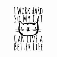 Image result for Friday Work Cat Meme