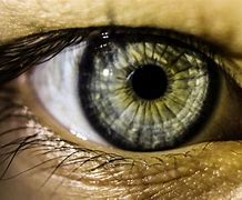 Image result for Small and Sharp Eyes