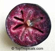 Image result for Purple Star Apple