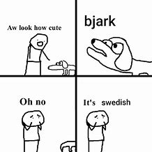 Image result for Bjark Dog Meme