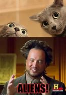 Image result for Funny Alien Cat