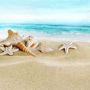 Image result for Shell for Files PC Wallpaper
