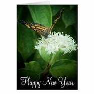Image result for Happy New Year Butterfly