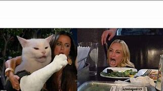 Image result for Cat and Lady Meme Pizza